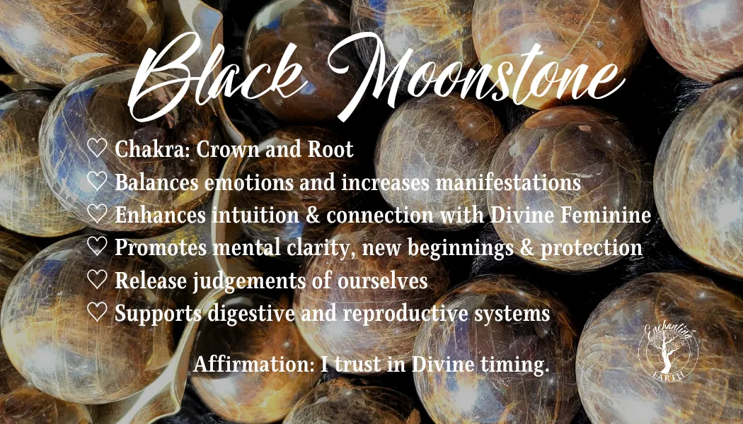 Black Moonstone Bracelet (AAA Grade) for Creation, Divine Feminine, & Manifestation