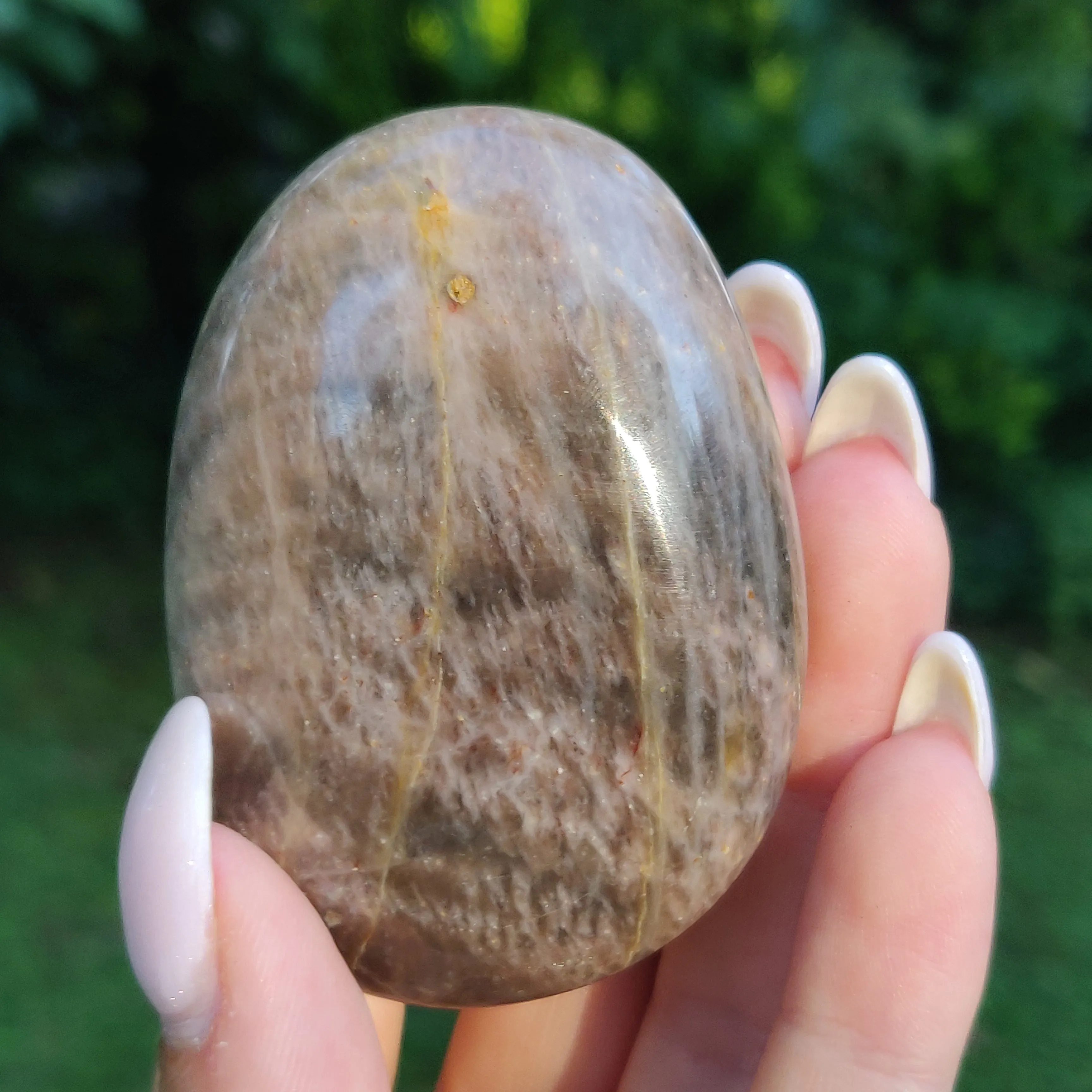 Black Moonstone Palm Stone, Flashy Black Moonstone (#20)