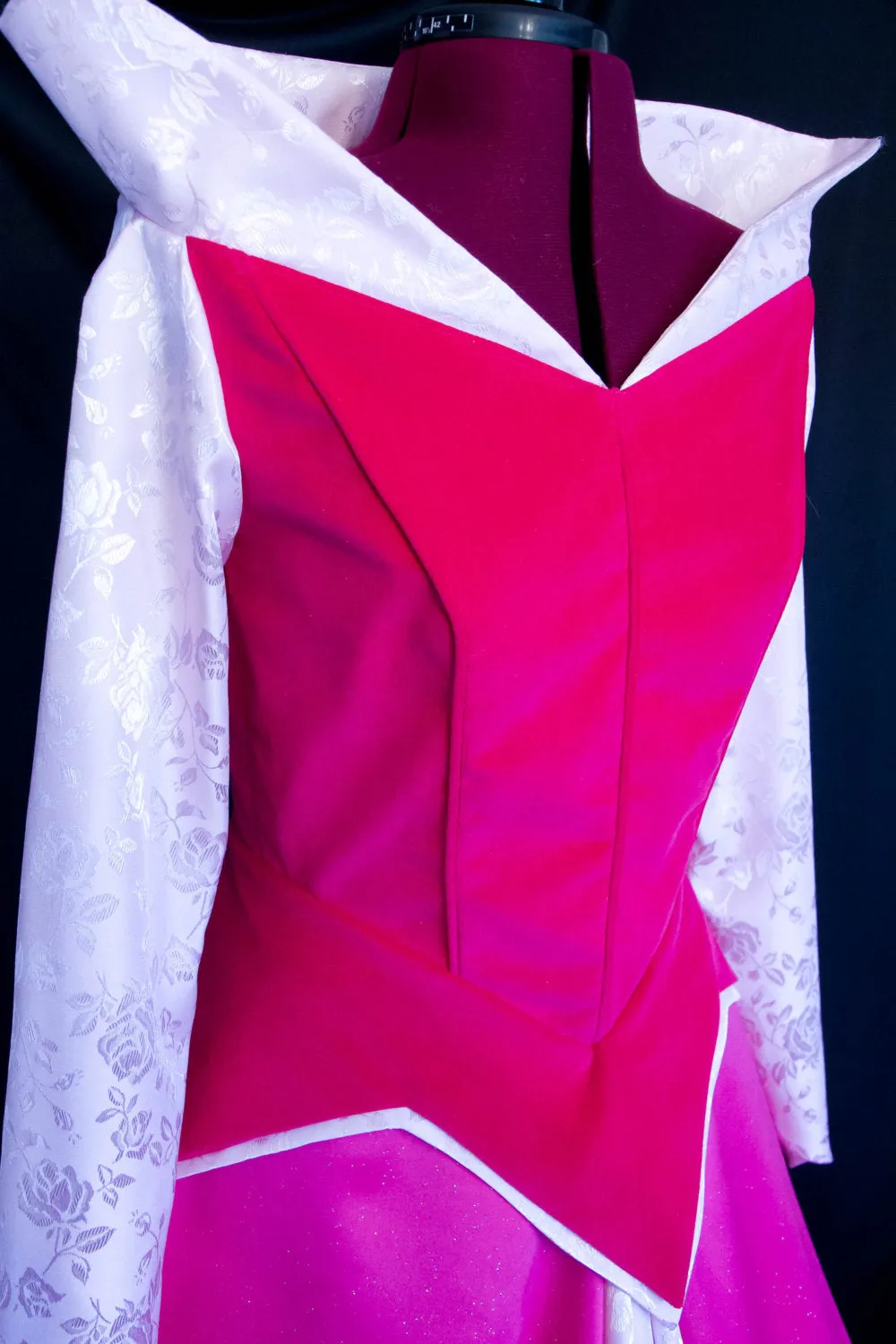 Costume Brocade Velveteen GOWN Custom Cosplay STUNNING ADULT Sleeping Beauty Aurora