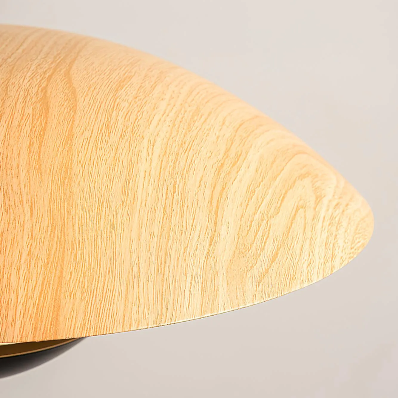 Frisbee Pendant Lamp