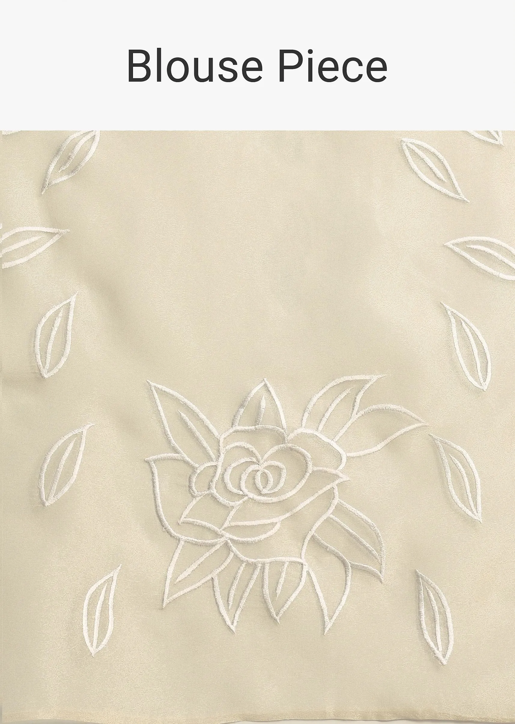 Grey Soft Tissue Saree With Resham Thread and Cutwork