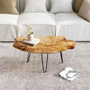 Kesha Coffee Table