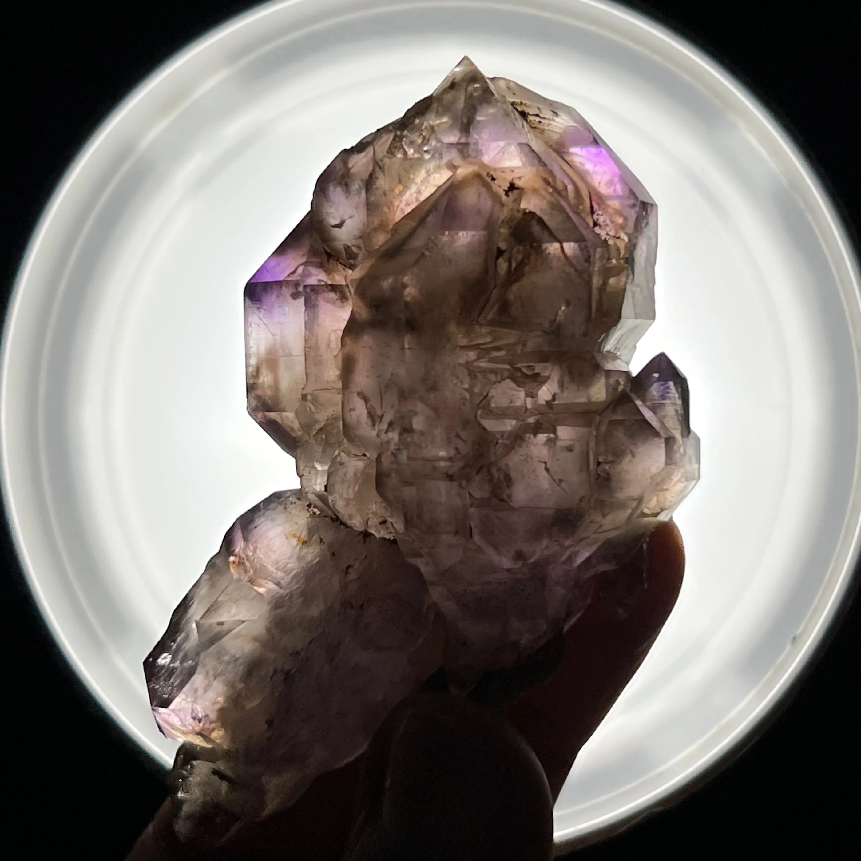 Mothership and Baby Smokey Quartz, Shangaan Amethyst Crystal From The Chibuku Mine, Gezani Communal Land, Zimbabwe