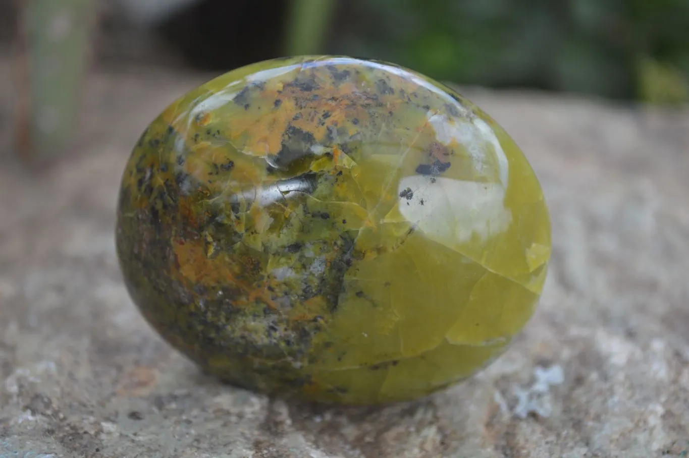 Polished Green Opal Free Forms  x 6 From Antsirabe, Madagascar