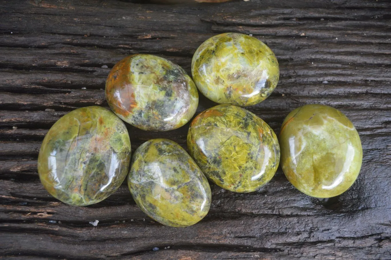 Polished Green Opal Free Forms  x 6 From Antsirabe, Madagascar