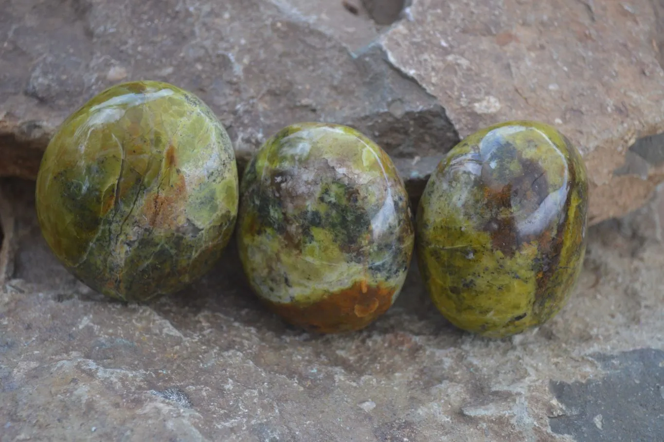 Polished Green Opal Free Forms  x 6 From Antsirabe, Madagascar