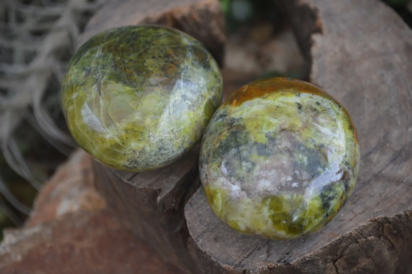 Polished Green Opal Free Forms  x 6 From Antsirabe, Madagascar
