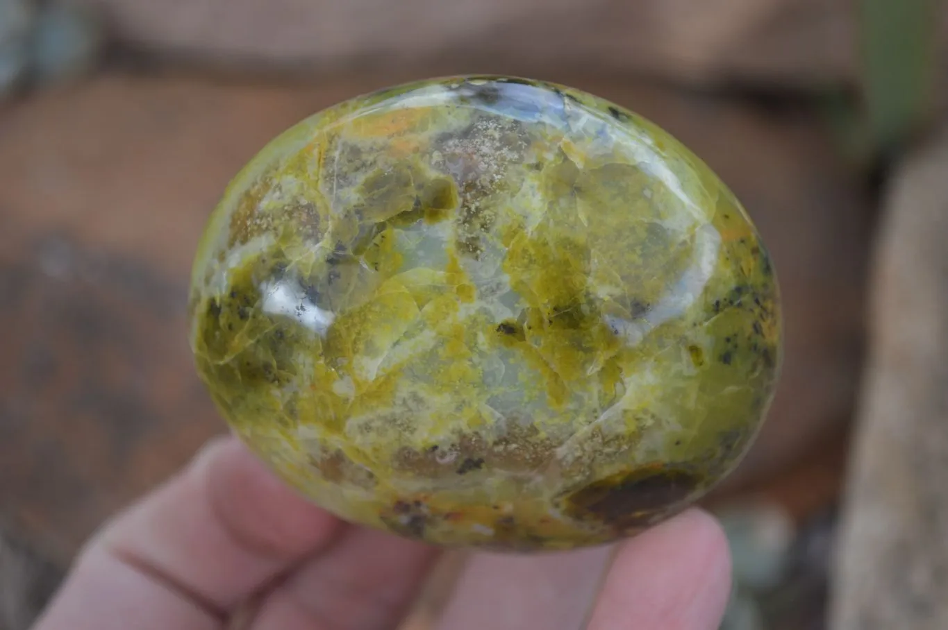Polished Green Opal Free Forms  x 6 From Antsirabe, Madagascar