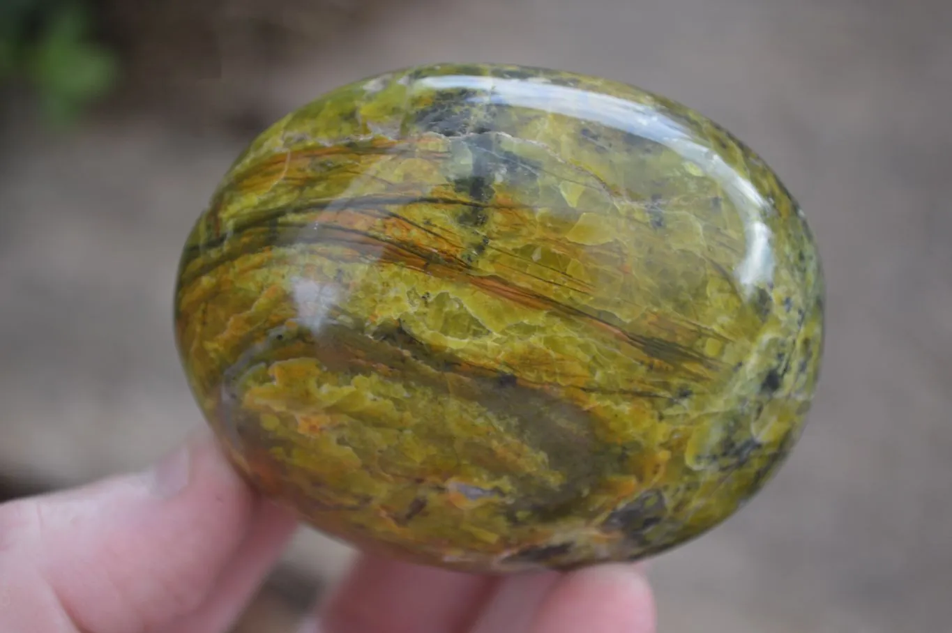 Polished Green Opal Free Forms  x 6 From Antsirabe, Madagascar