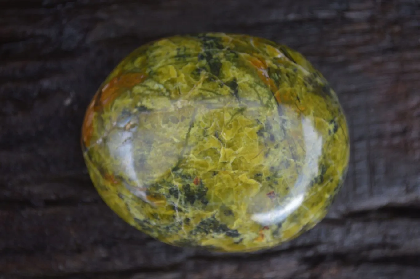 Polished Green Opal Free Forms  x 6 From Antsirabe, Madagascar